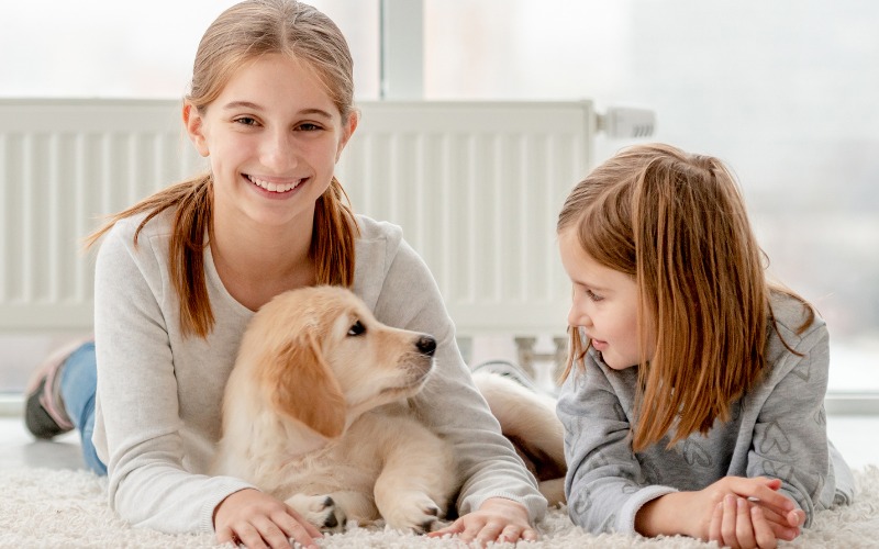 Naples Organic Pest Control Service